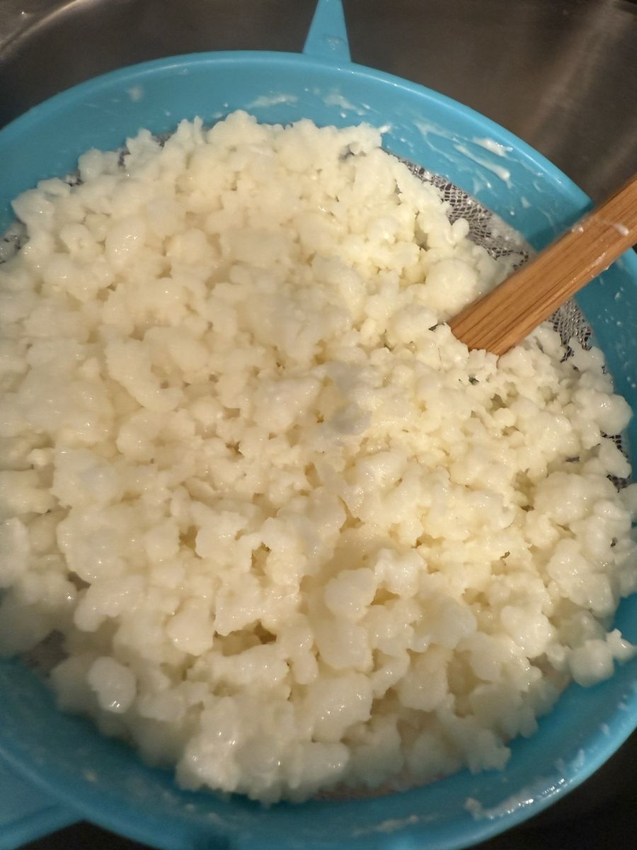 Kefir - Bulgaros