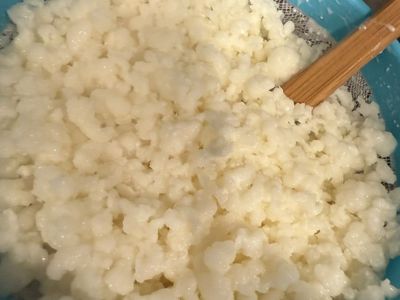 Kefir - Bulgaros