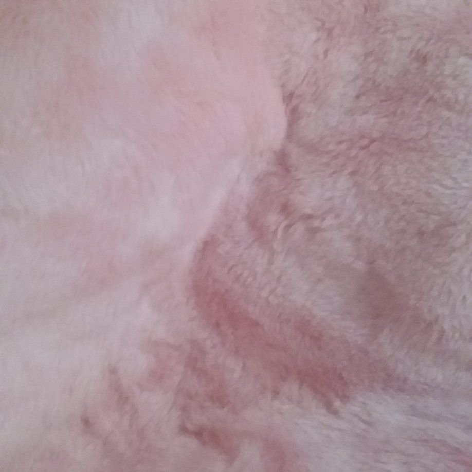 SHORT PILE PINK FUR...20 IN. X 60 IN.