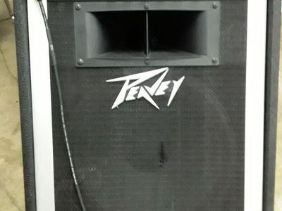Peavey Acoustic Electric Instrument System Reno 400