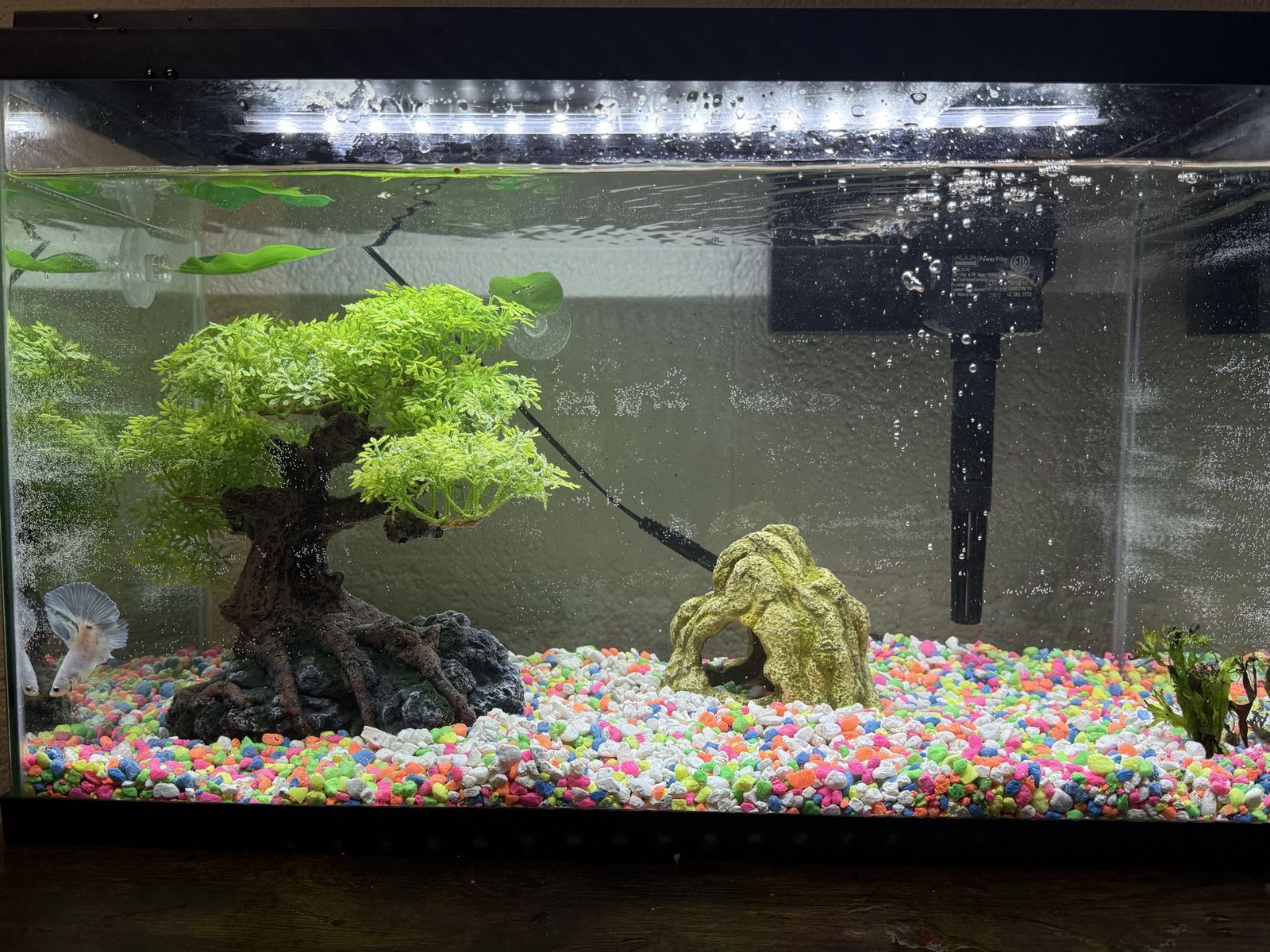 Aquarium tank large tree decoration, will trade