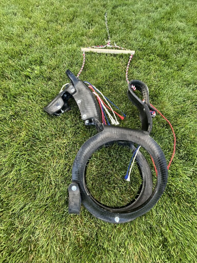 Horse Tire Swing