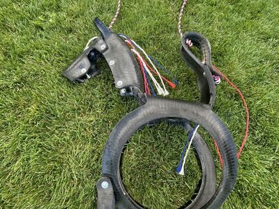 Horse Tire Swing