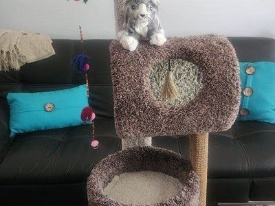 3-Tier Cat Tree Scratcher & Condo - Brown/Beige