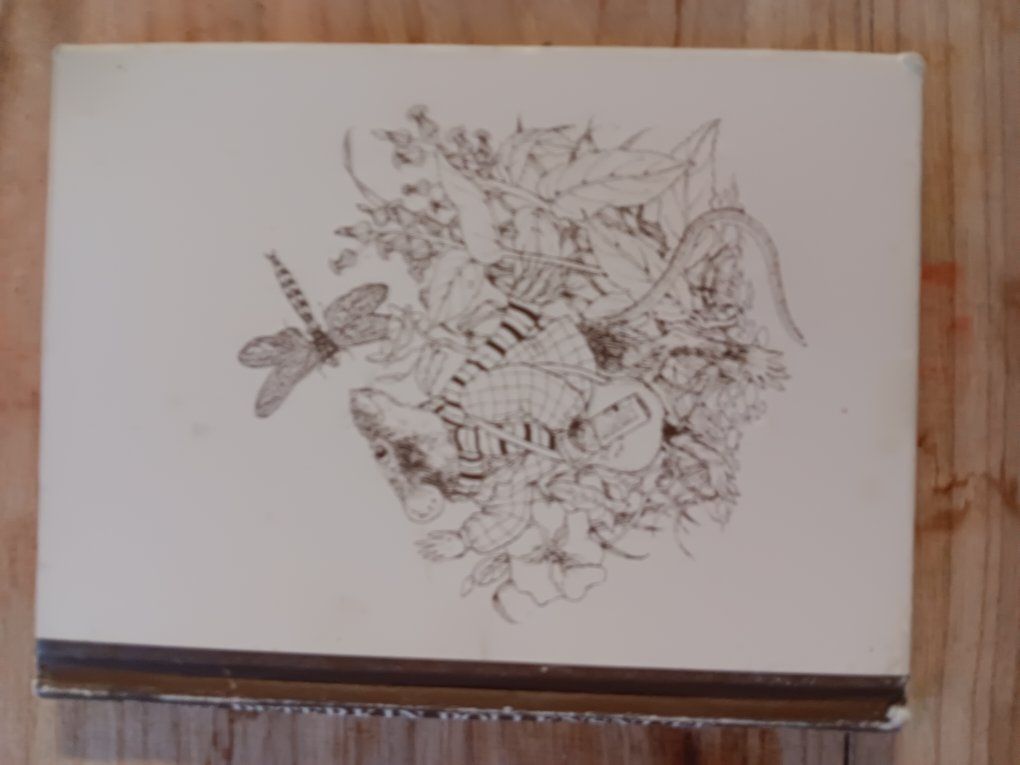 Main image 2