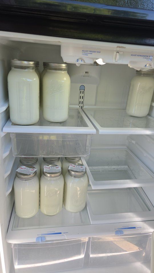 Raw goat milk for sale