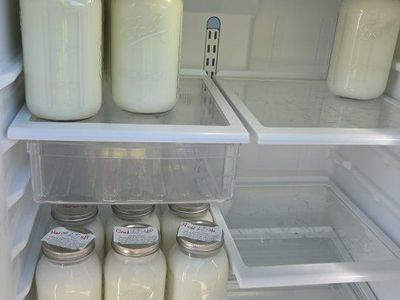 Raw goat milk for sale