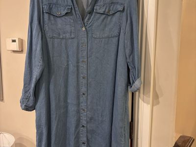 Women’s Darling Denim Dress 2X