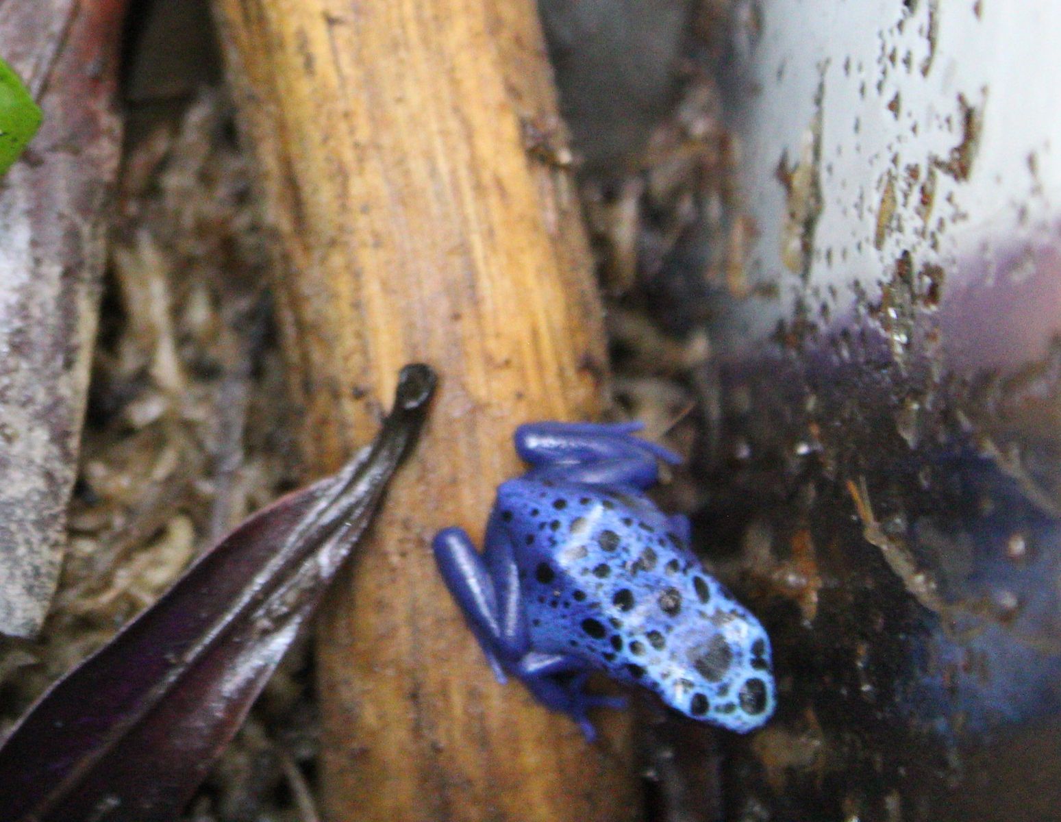 Main image 2