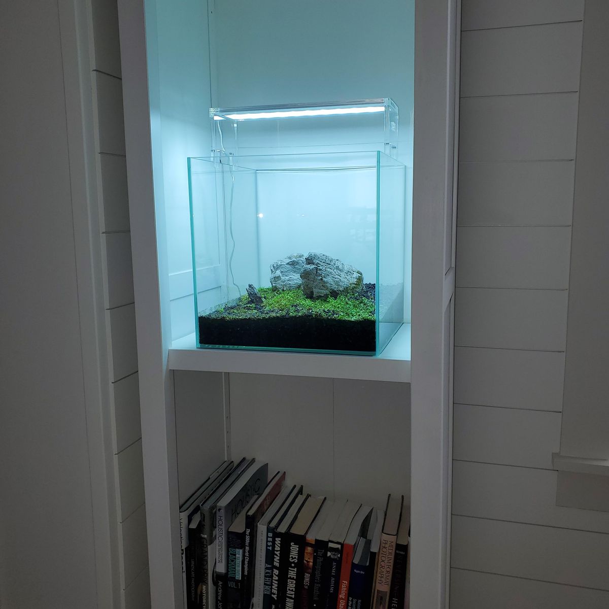 UNS30C Aquarium For Sale