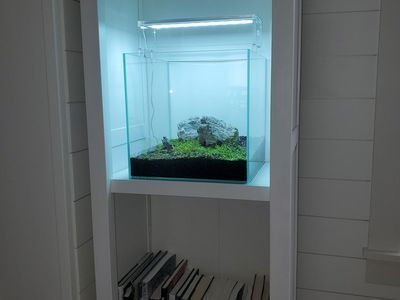 UNS30C Aquarium For Sale
