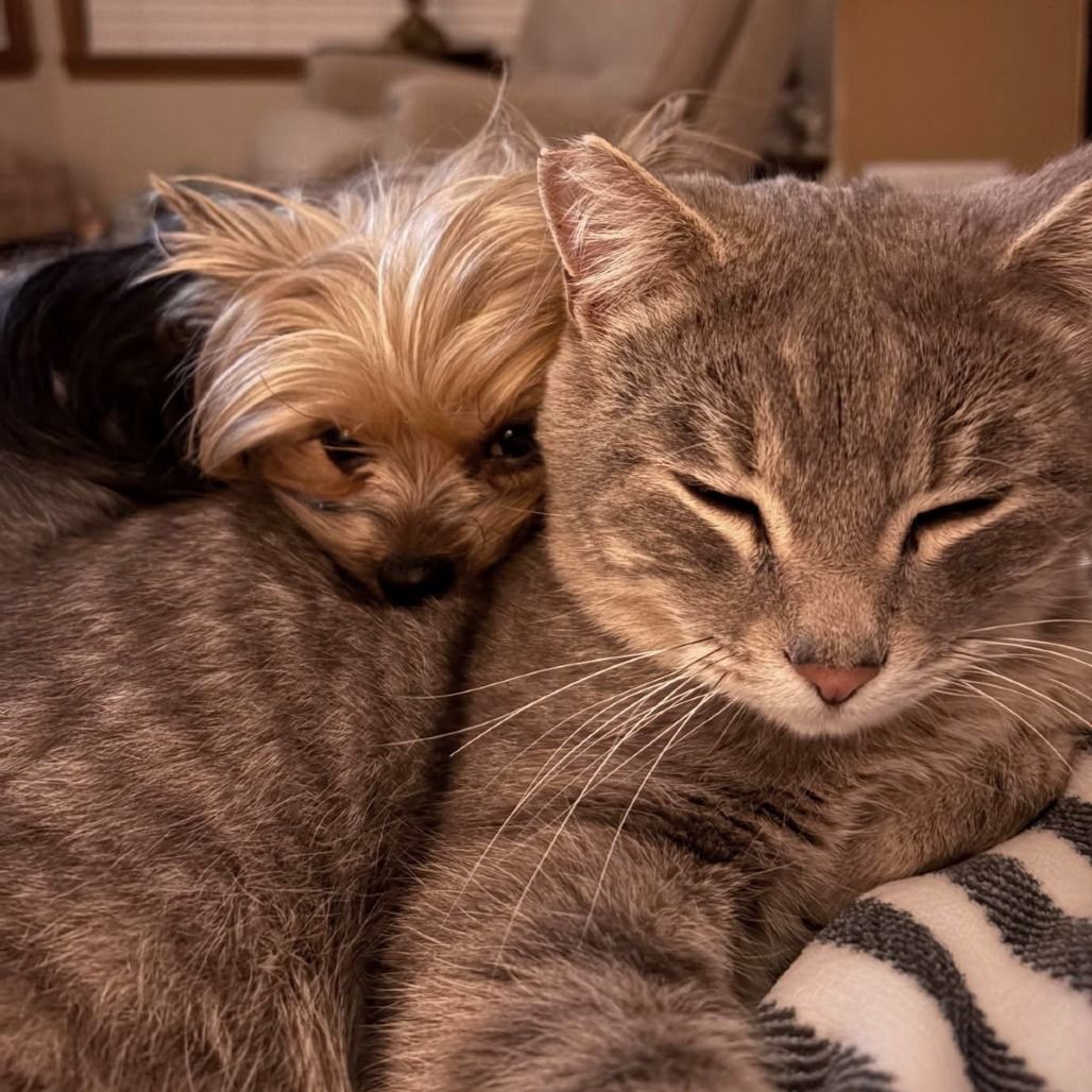 Hello my name is "Tabitha"