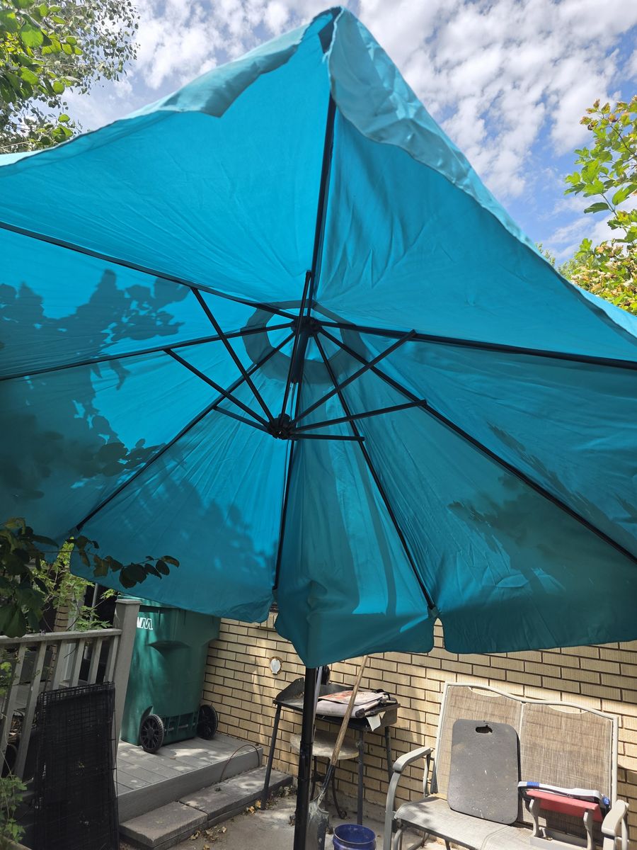 Umbrella