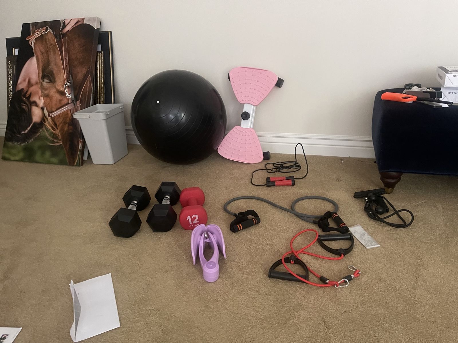 Assorted Fitness Equipment Bundle with Exercise Ball Dumbbells and Resistance Bands
