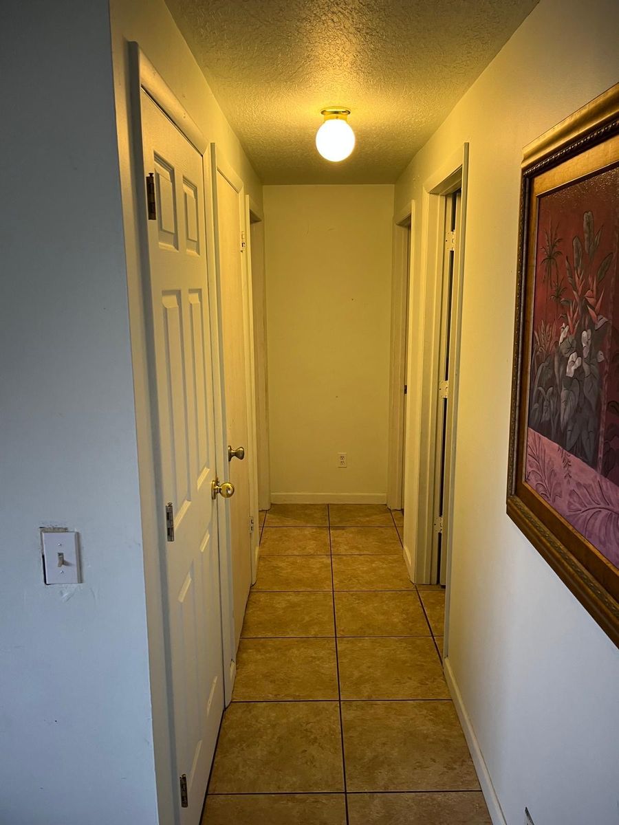 Main image 5