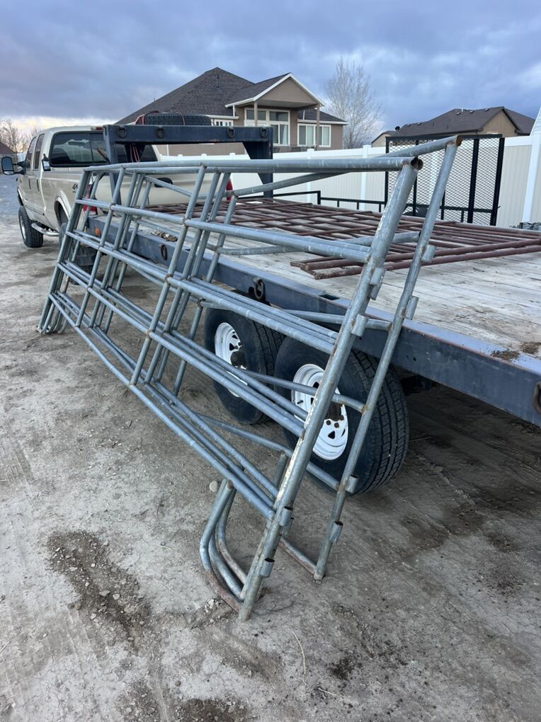 Horse/ Livestock Panels For Sale