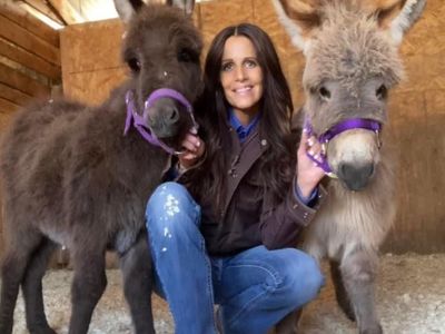 3 Year Old Mini Donkey