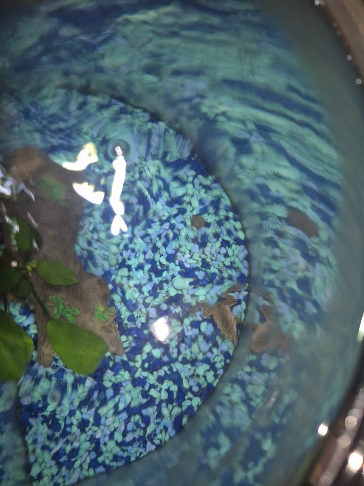 Main image 7