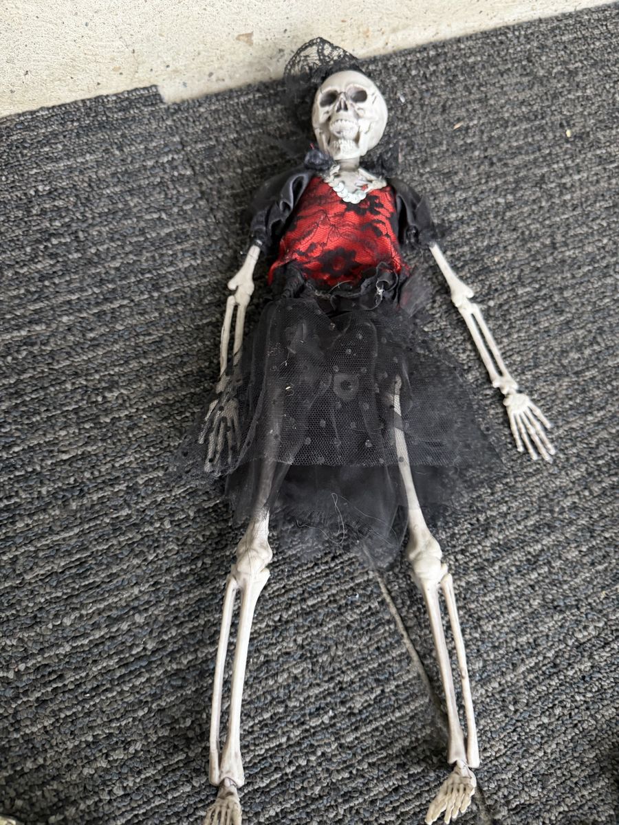 Dressed Female Skeleton Halloween Decoration with Black and Red Lace Outfit