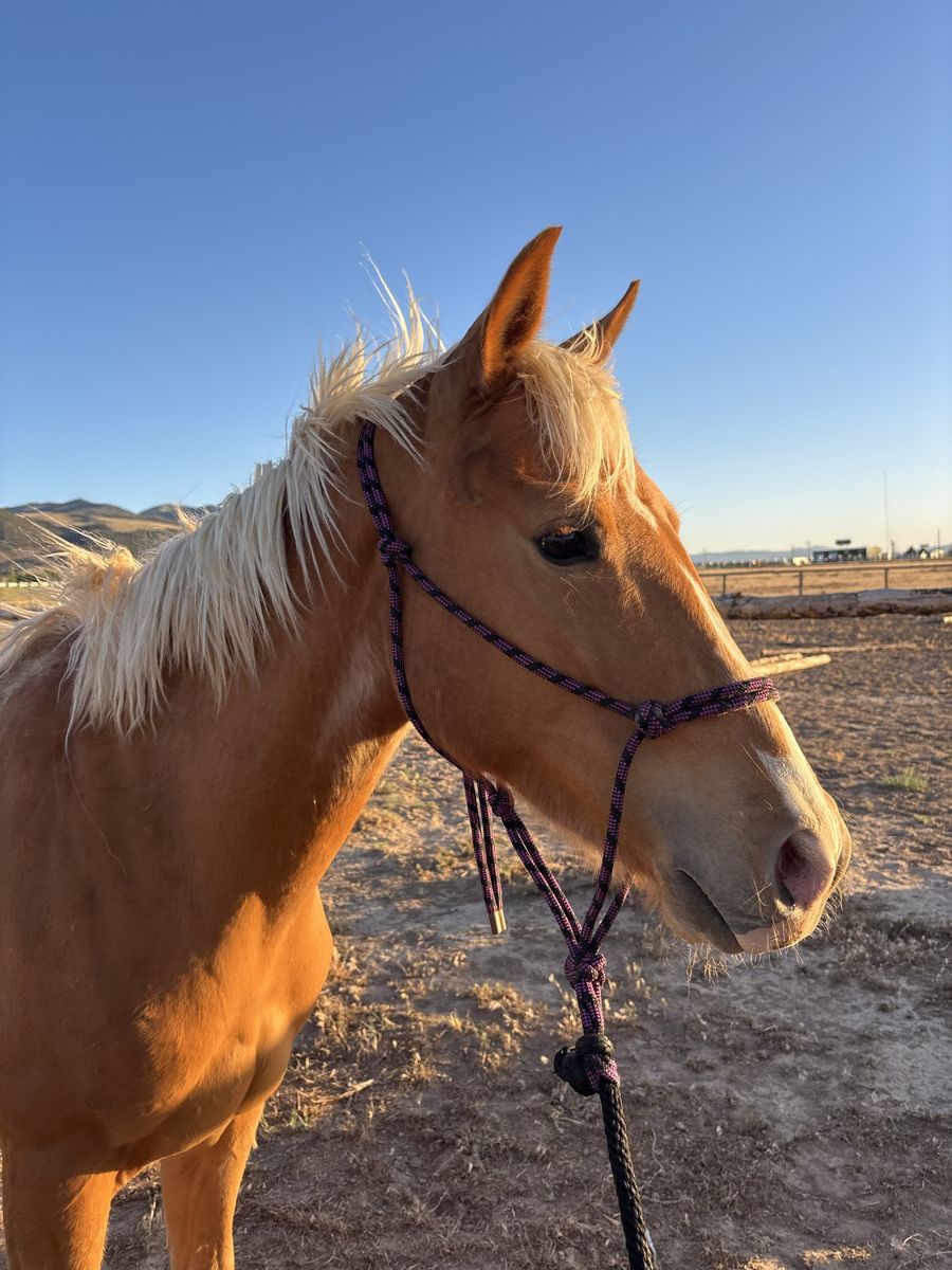 Main image 7