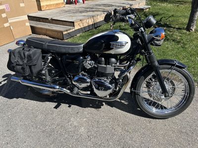 2011 Triumph T100