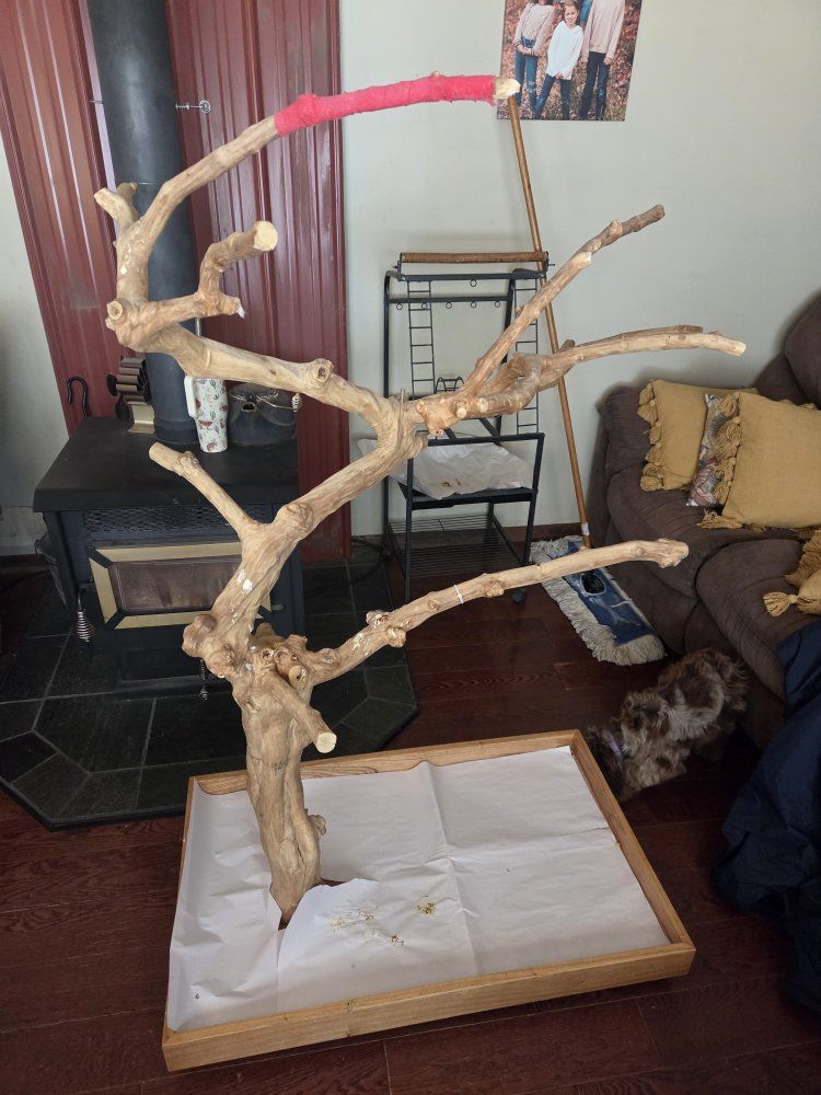 Bird Tree
