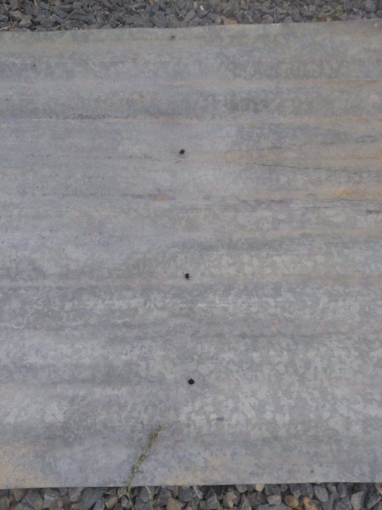 Main image 5