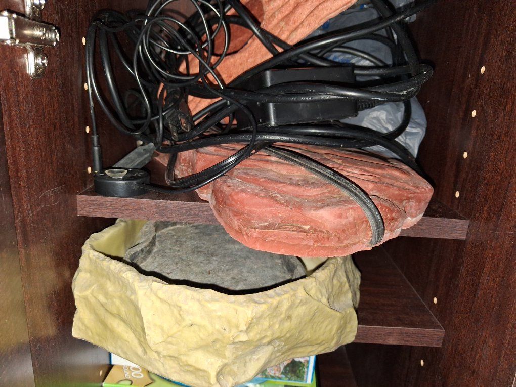 Reptile Heat Rock and Water Bowl Set for Habitat Decor