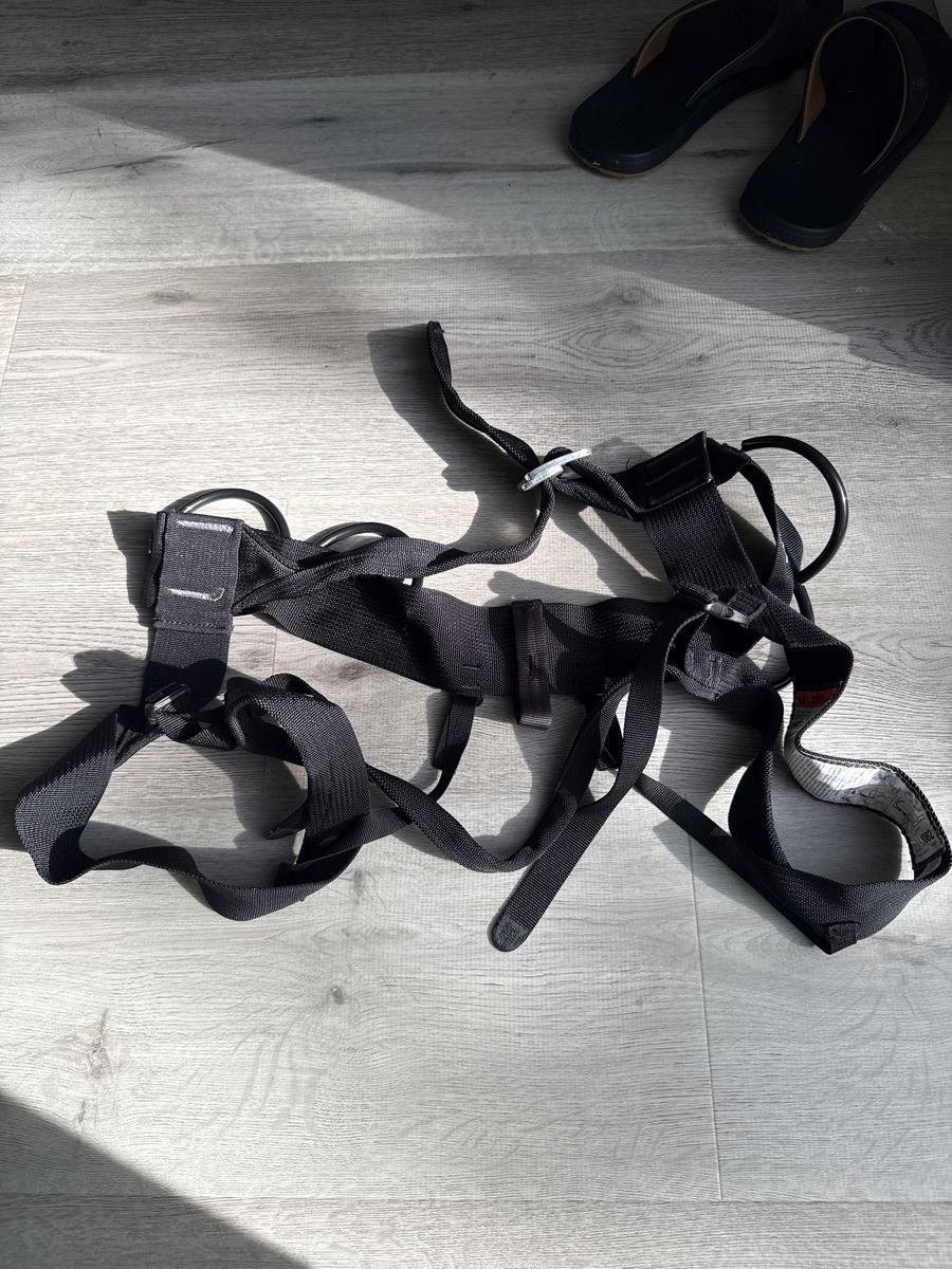 Black Diamond Alpine Bod Climbing Harness