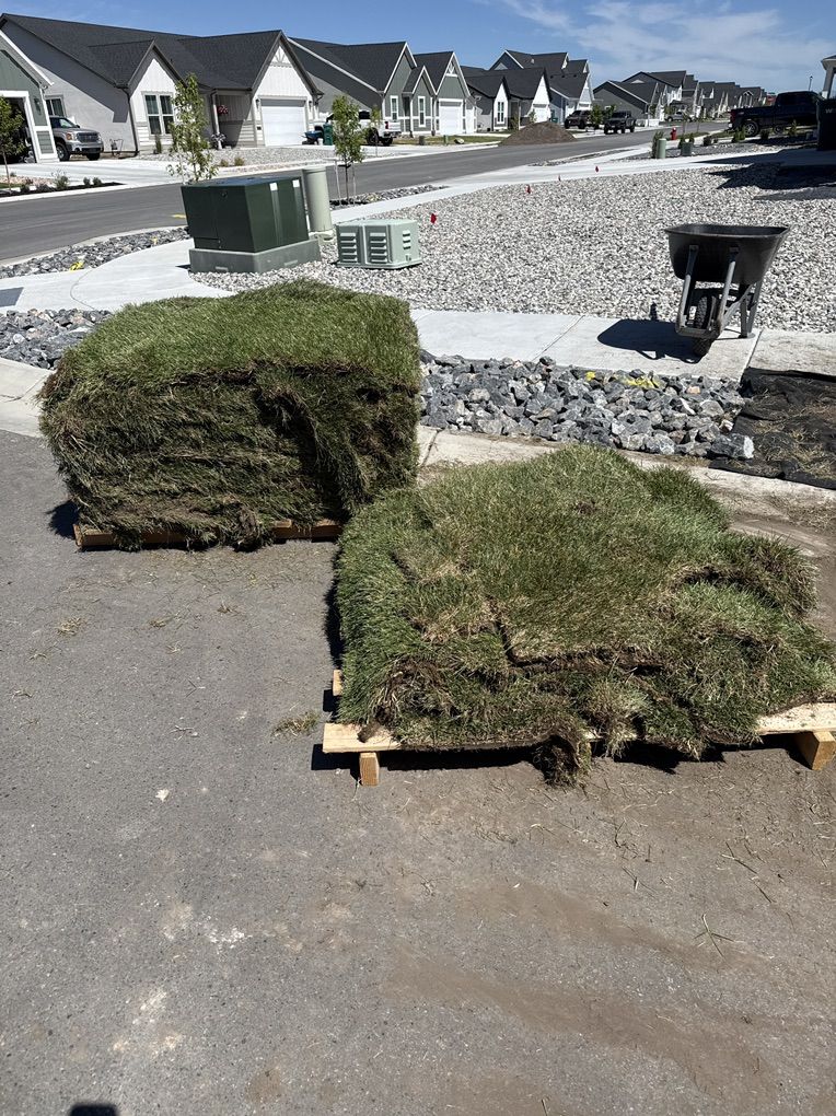 Sod