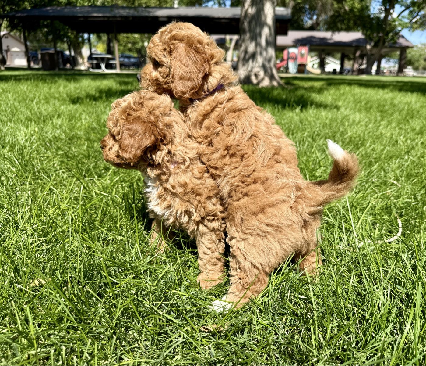 Main image 14
