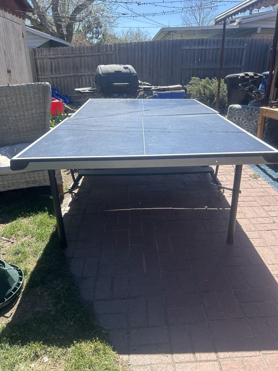 Ping Pong Table