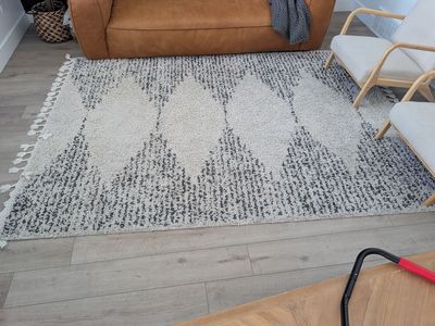 Area Rug (6'7" x 9')