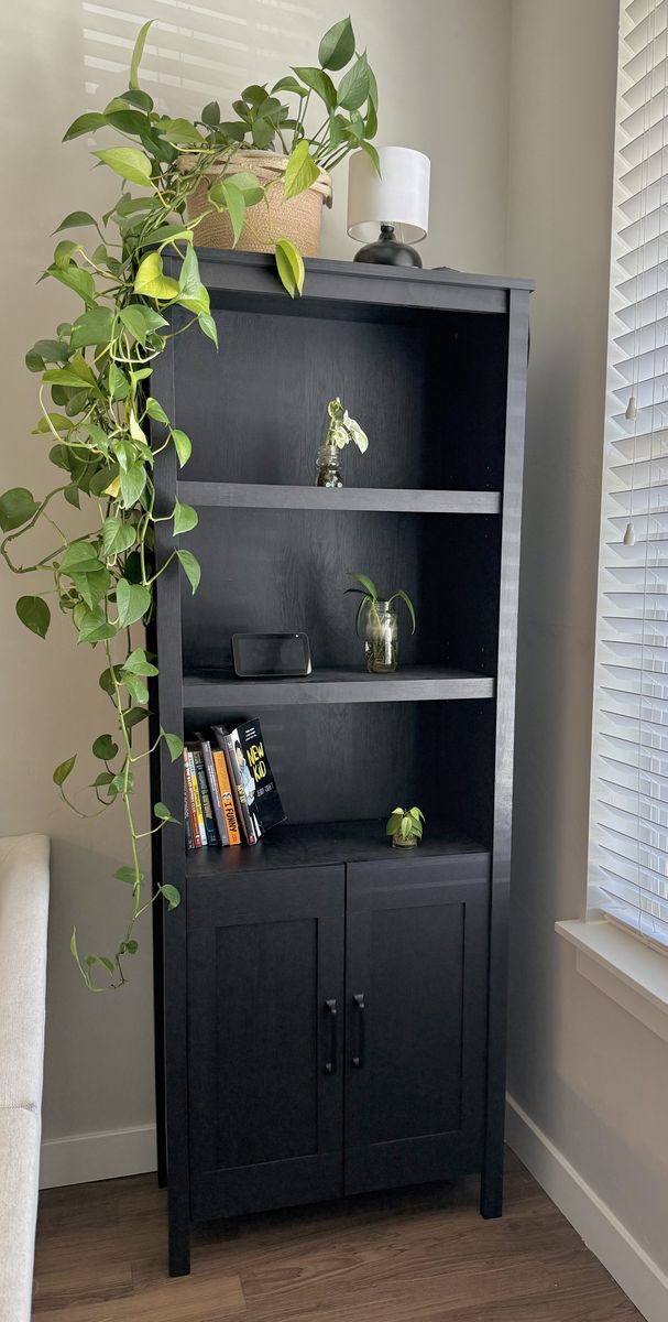 Tall Black Shelf With Cabinets