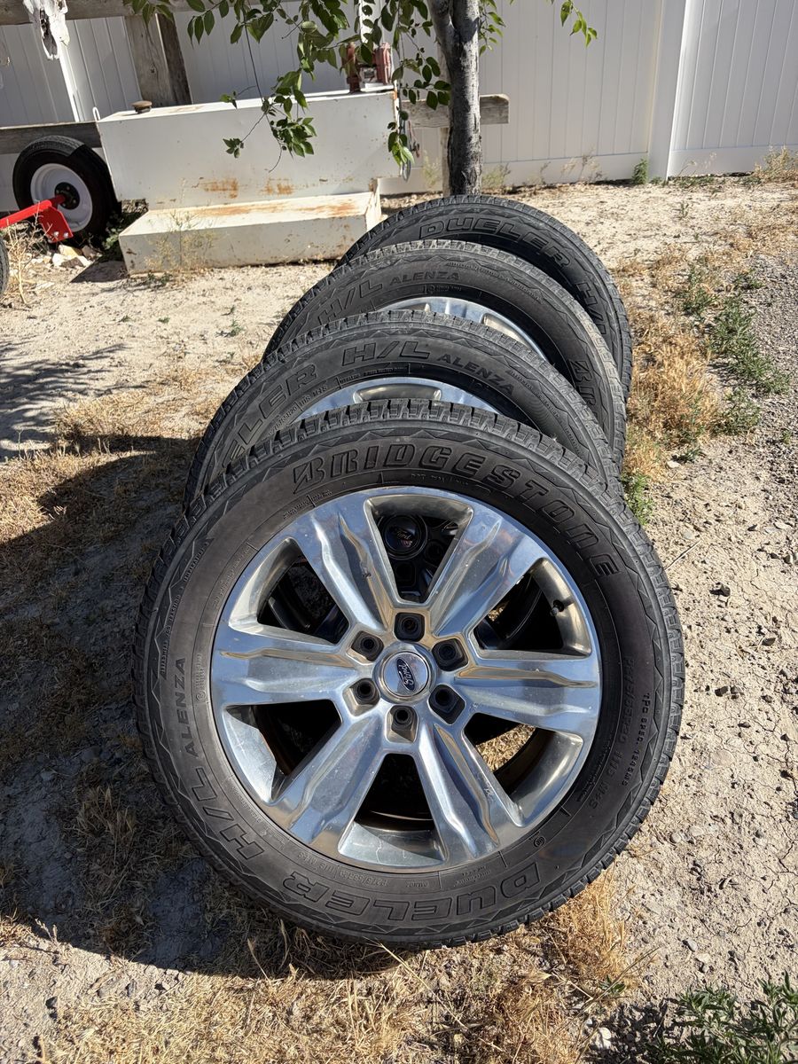 F-150 stocks