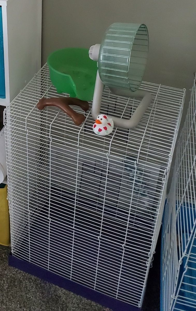 Small gerbil cage + pet supplies