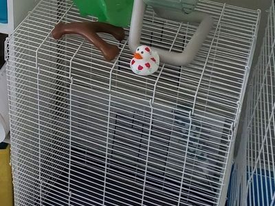 Small gerbil cage + pet supplies