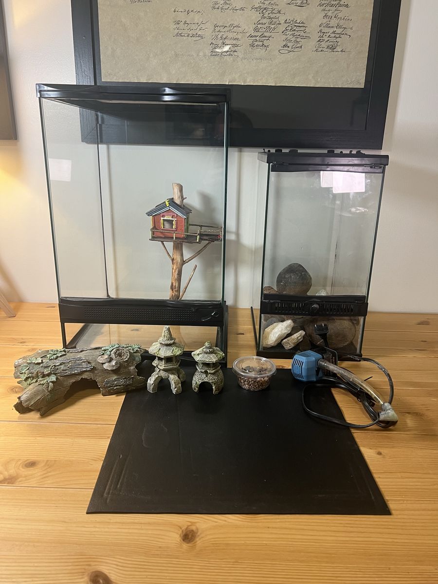 Main image 3