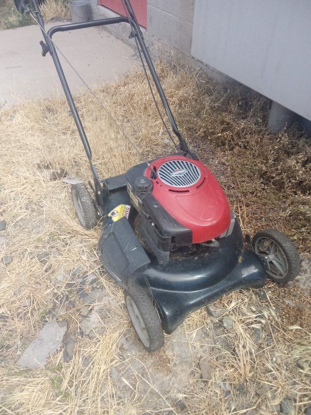Briggs & Stratton Red Gas, self propelled Walk-Behind Lawn Mower