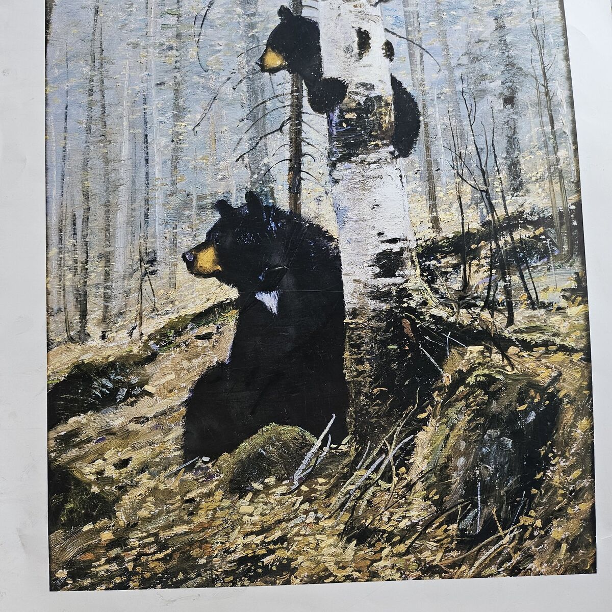 In  The Adirondacks by Michael Coleman