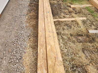 20 foot 2x6 lsl