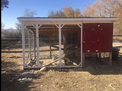 Chicken coop