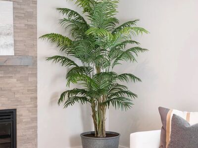 Faux 8' Areca Palm Tree 1783155 #98400