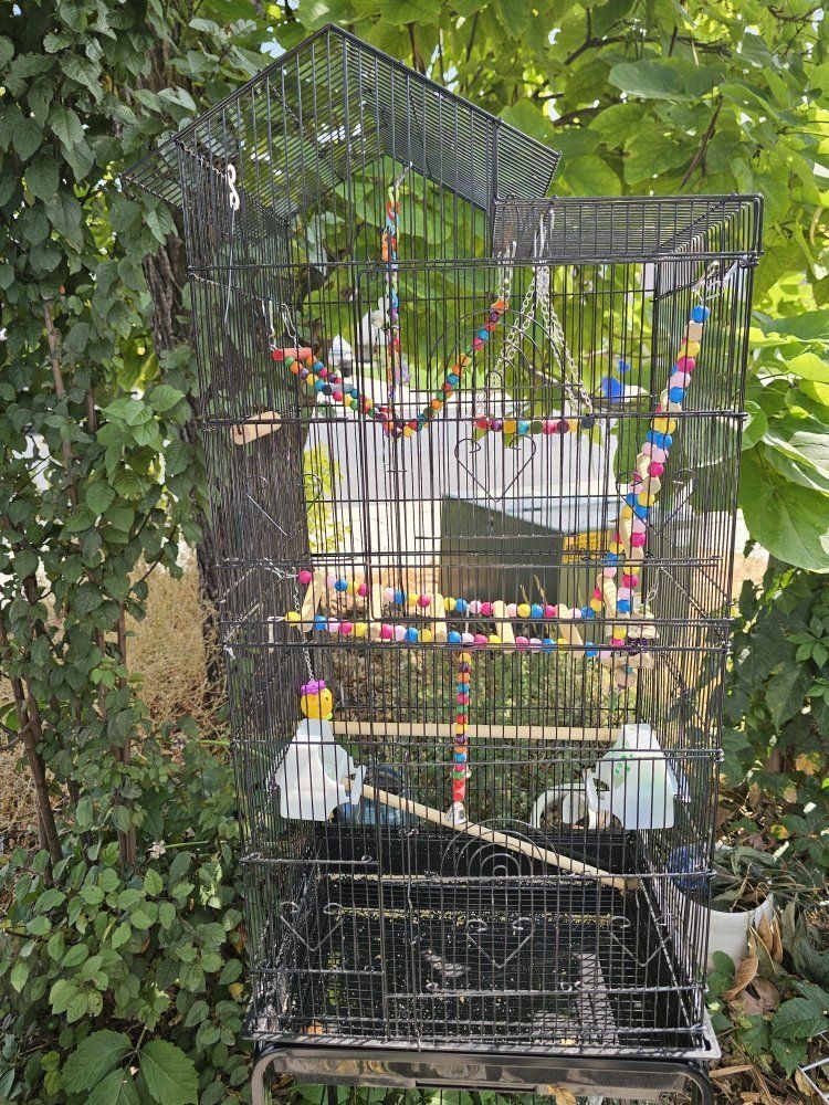 bird cages
