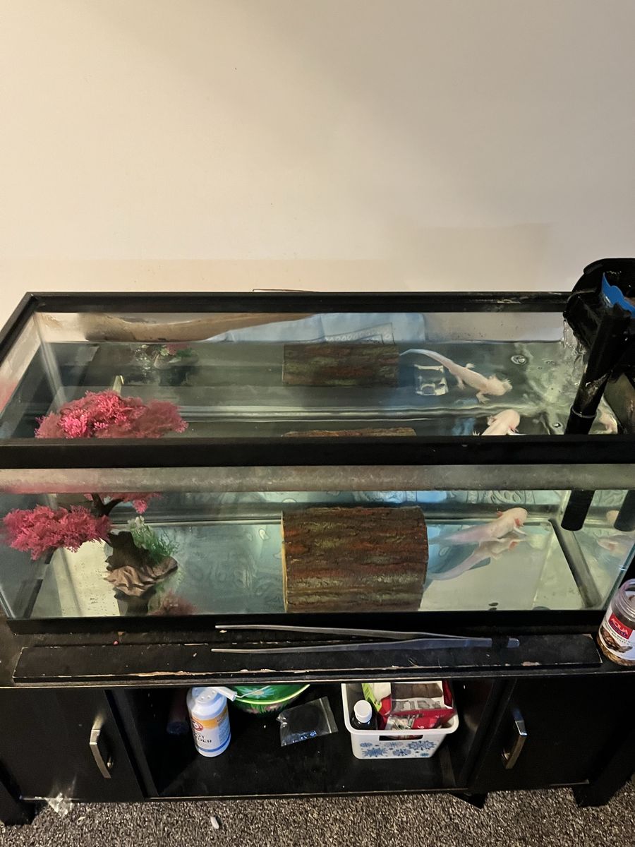 * read description* 20 gal long fish tank