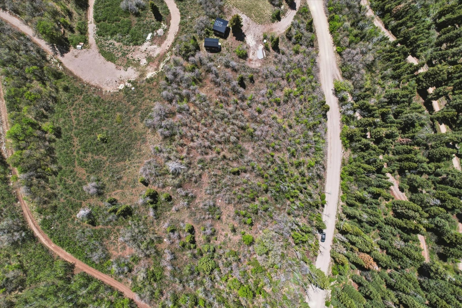 Main image 8