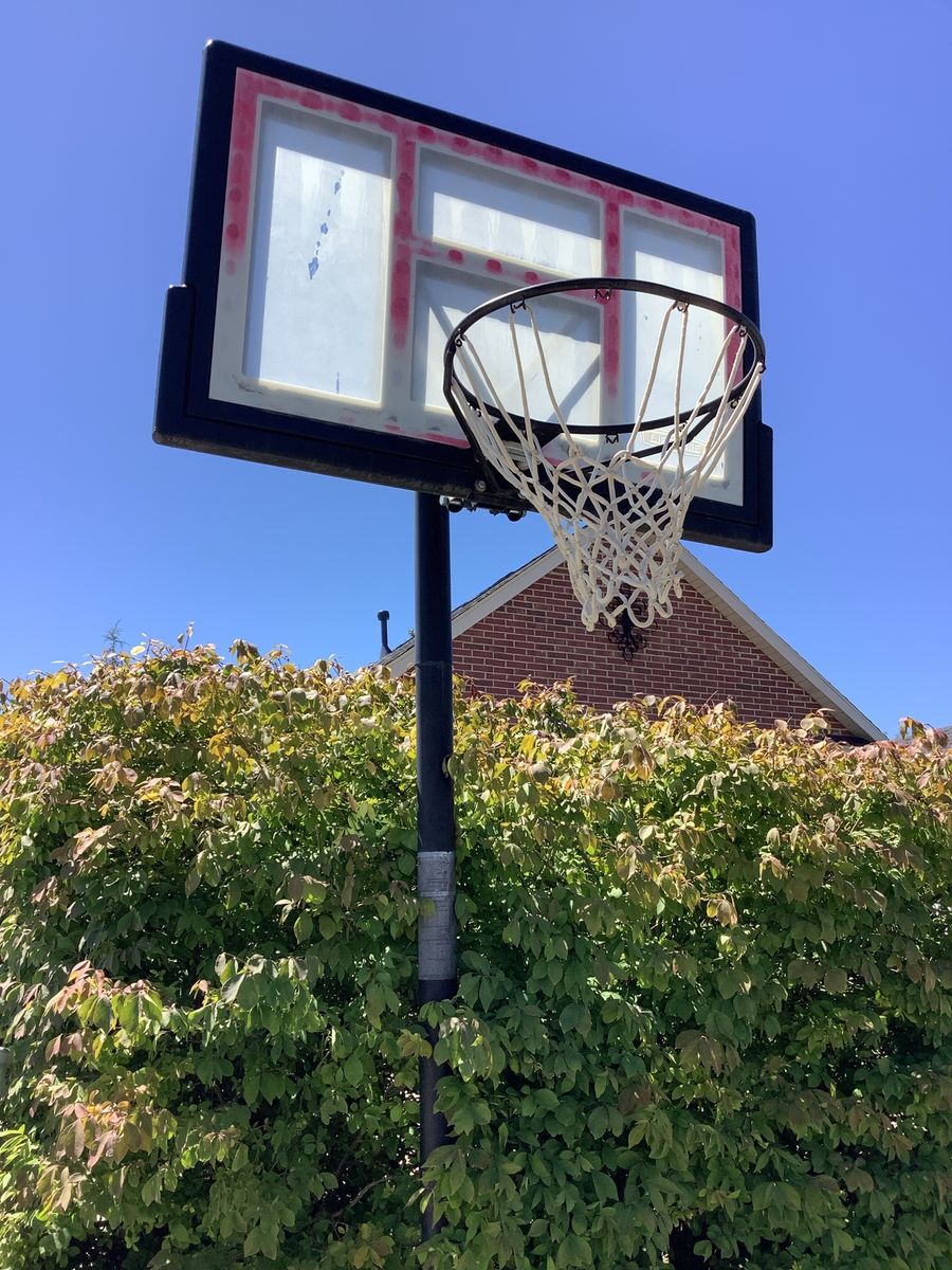 Lifetime Portable Basketball Hoop System with Backboard and Rim