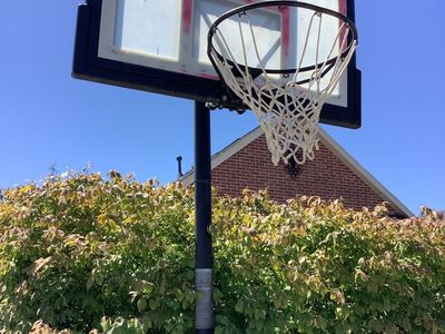 Lifetime Portable Basketball Hoop System with Backboard and Rim