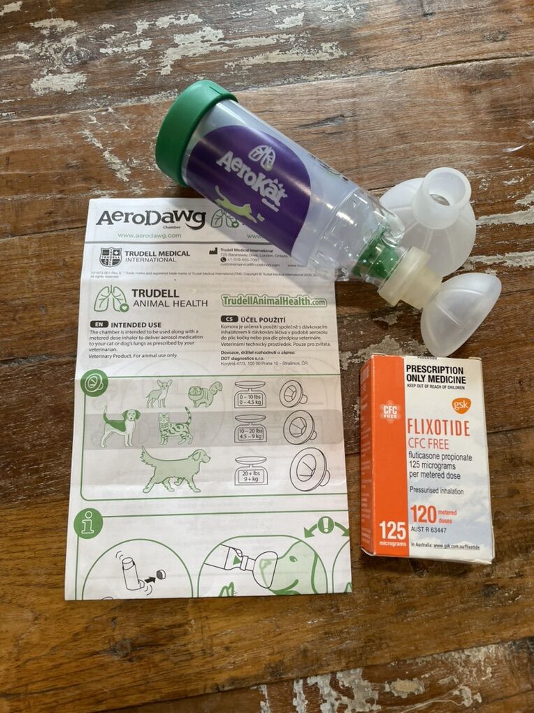 AeroDawg AeroKat Inhaler Chamber w/ Flixotide