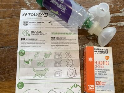 AeroDawg AeroKat Inhaler Chamber w/ Flixotide